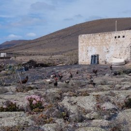 La finca Morro de Chivusque, situada en La Vegueta