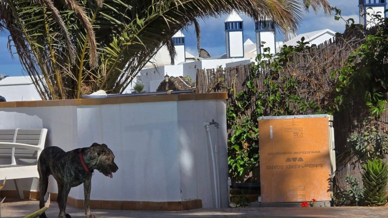 La Guardia Civil investiga a un vecino de Haría como presunto autor de maltrato animal