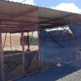 Denuncian el estado del yacimiento de Zonzamas