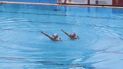Club Deportivo Pingüinos de Arrecife 