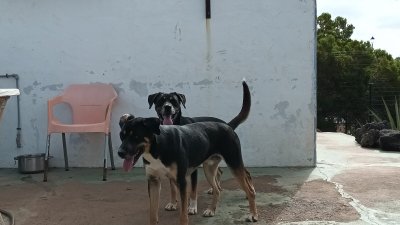 Sancho y Pancho