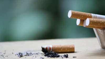 Cigarrillos de tabaco (Foto: Texels)