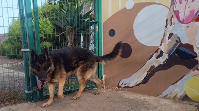 Sebastián