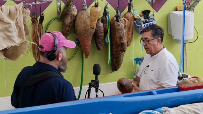 Presentación del proyecto