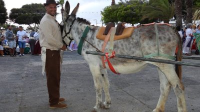 Romería de Santiago Apóstol de Tahíche, 2025