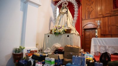 Romería de Nuestra Señora de Las Nieves, 2025