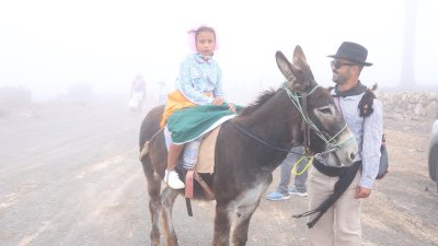 Romería de Nuestra Señora de Las Nieves, 2025