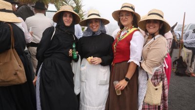 Romería de Nuestra Señora de Las Nieves, 2025