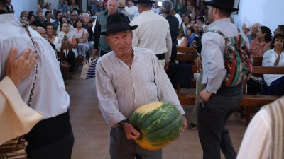 Romería de Nuestra Señora de Las Nieves, 2025