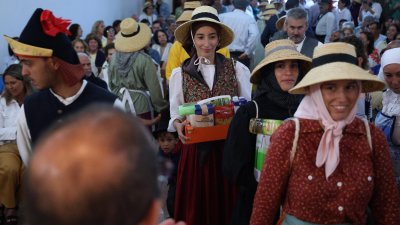 Romería de Nuestra Señora de Las Nieves, 2025