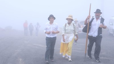 Romería de Nuestra Señora de Las Nieves, 2025