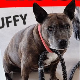 Buffy