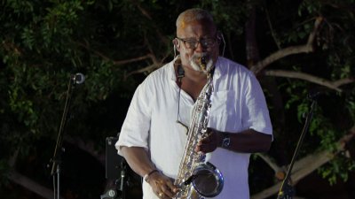 Concierto de Los del Río