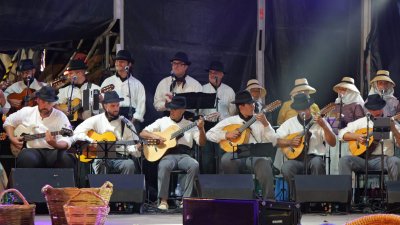 Festival Folklórico de Rubicón