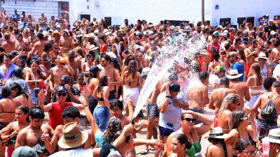 Verbena del agua en Famara, 2025