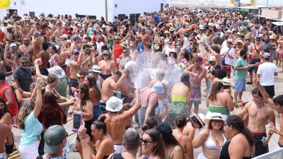 Verbena del agua en Famara, 2025