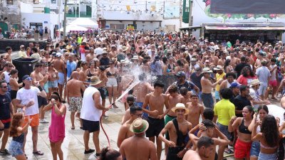 Verbena del agua en Famara, 2025