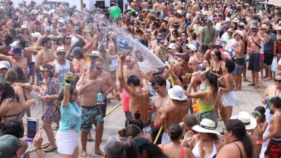 Verbena del agua en Famara, 2025