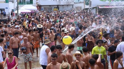 Verbena del agua en Famara, 2025