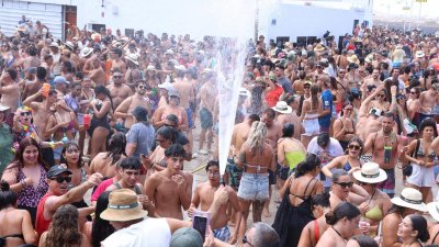 Verbena del agua en Famara, 2025