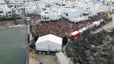 Verbena del agua en Famara, 2025