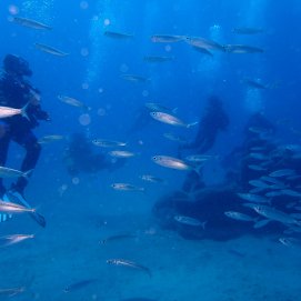 Inmersión de buceo en Yaiza. Foto: Ayuntamiento de Yaiza.