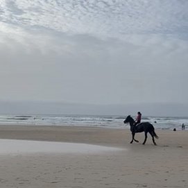 Pasea con un caballo en la playa de Famara, a pesar de que está prohibido
