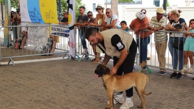 Encuentro monográfico en Yaiza