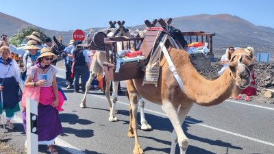 Romería en honor a la Virgen de Los Dolores.