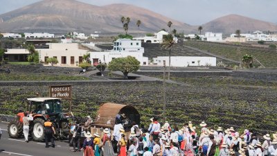 Romería en honor a la Virgen de Los Dolores.