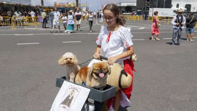 Romería en honor a la Virgen de Los Dolores. Foto: Juan Mateos