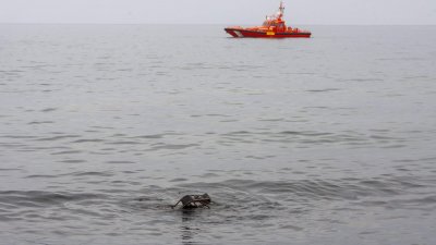 Tanque de gasoil en Costa Teguise