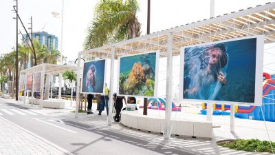 Arrecife inauguró en el Reducto esta exposición Gritos del Azul para sensibilizar sobre el cuidado de las playas y el litoral