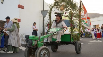 Romería en honor a Nuestra Señora de las Mercedes, en Mala, 2025