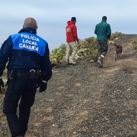 El objetivo es proteger a los animales y garantizar su seguridad