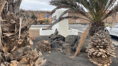 Estado de la entrada de Costa Teguise. Fotos: Cedidas.