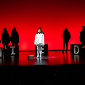 'VII edición del Festival Teatro Escolar'