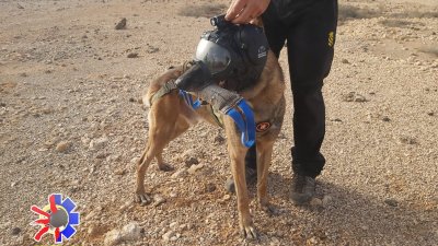 Emerlan, la UME y el GES llevan a cabo entrenamientos conjuntos en Fuerteventura