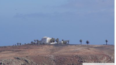 Árboles singulares de Lanzarote. Foto: Cedida por Rafael Paredes