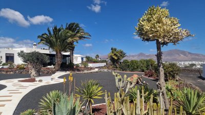Imágenes de varios proyectos de Canariensis en Lanzarote
