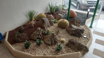 Imágenes de varios proyectos de Canariensis en Lanzarote