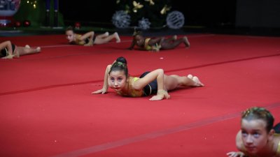 FESTIVAL DE GIMNASIA TIGOTÁN (105)