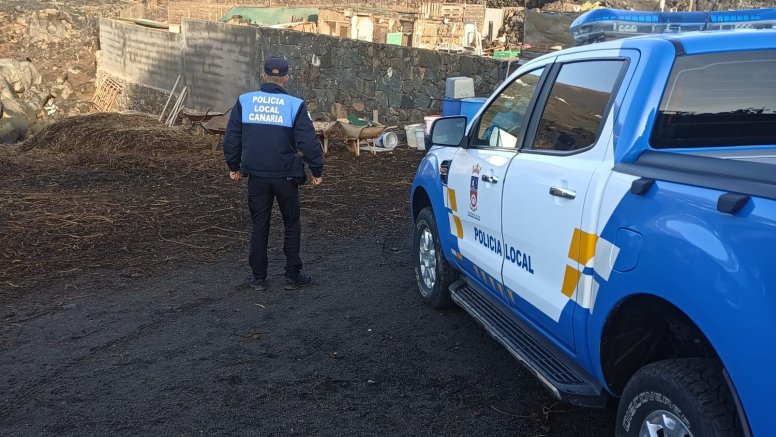 La Policía Local de Tías interviene una granja de animales.