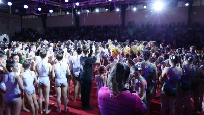 FESTIVAL DE NAVIDAD DE GIMNASIA  (85)