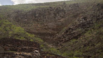 Lanzarote se pinta de verde tras el paso de las últimas lluvias. Foto: Andrea Domínguez.