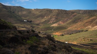 Lanzarote se pinta de verde tras el paso de las últimas lluvias. Foto: Andrea Domínguez.