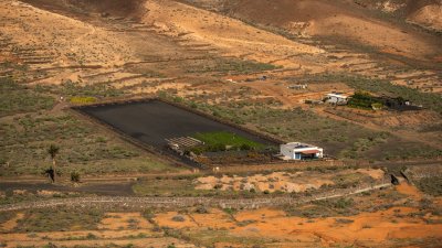Lanzarote se pinta de verde tras el paso de las últimas lluvias. Foto: Andrea Domínguez.