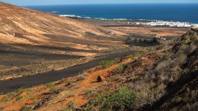 Lanzarote se pinta de verde tras el paso de las últimas lluvias. Foto: Andrea Domínguez.