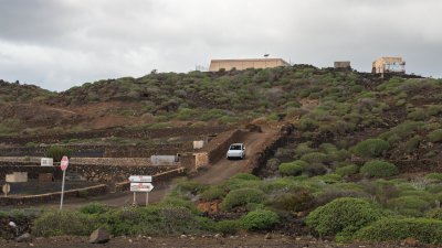 Lanzarote se pinta de verde tras el paso de las últimas lluvias. Foto: Andrea Domínguez.