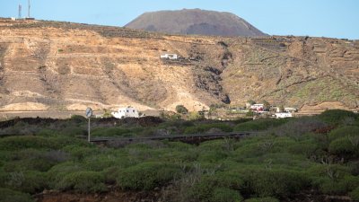 Lanzarote se pinta de verde tras el paso de las últimas lluvias. Foto: Andrea Domínguez.